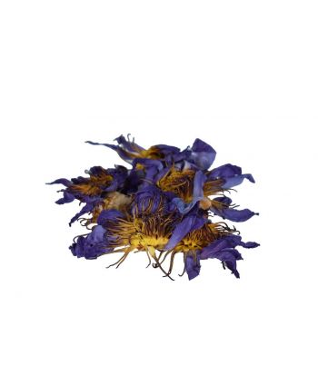 Flor completa de Loto azul - Nymphaea caerulea (10g)