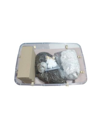 Kit de cultivo a granel - Psilocybe