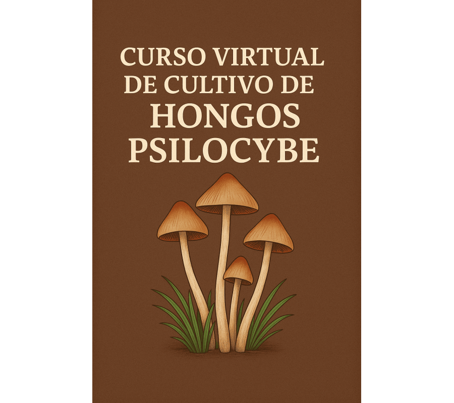 Curso virtual personalizado de cultivo de Psilocybes