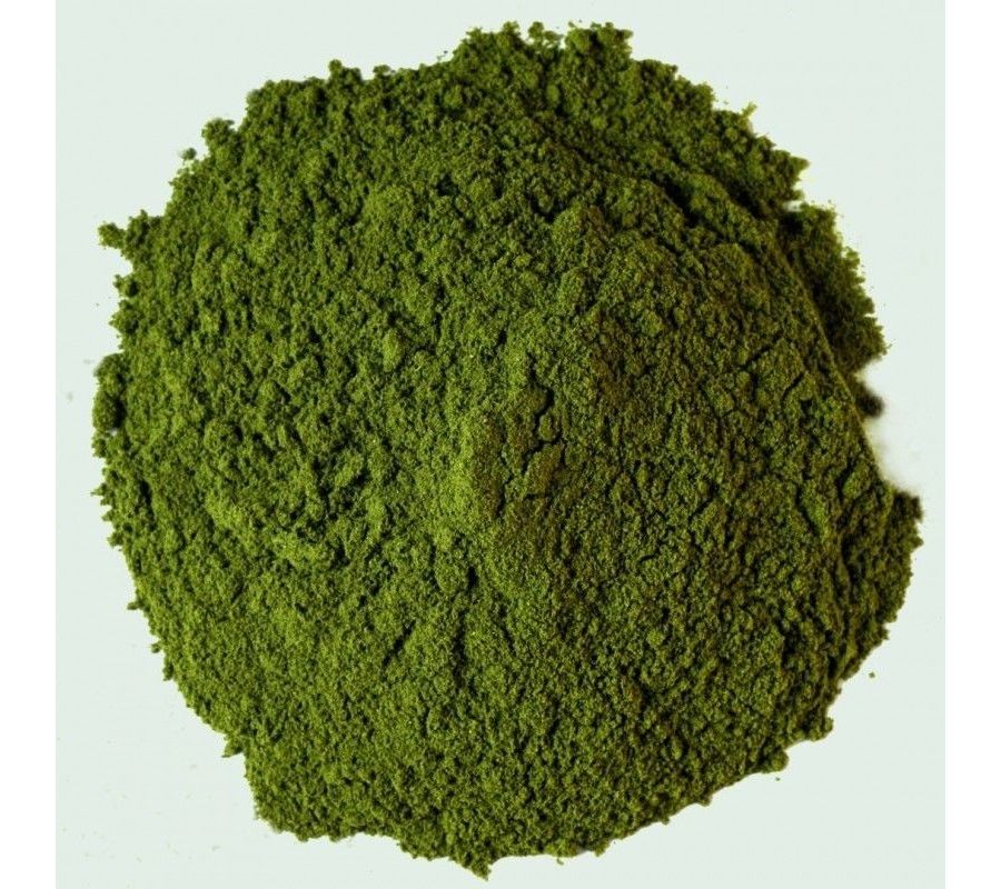 Hoja de coca pulverizada (Mambe) - Erythroxylum coca