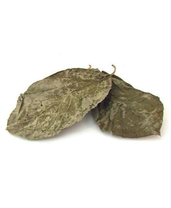 Hoja pulverizada de Diplopterys cabrerana - Chagropanga