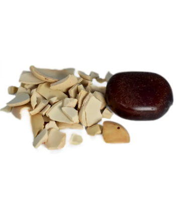 Tintura Semilla africana del sueño - Entada Rheddii - 10ml