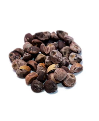 Tintura Semillas de Argyreia nervosa (Rosa lisérgica) - 10ml