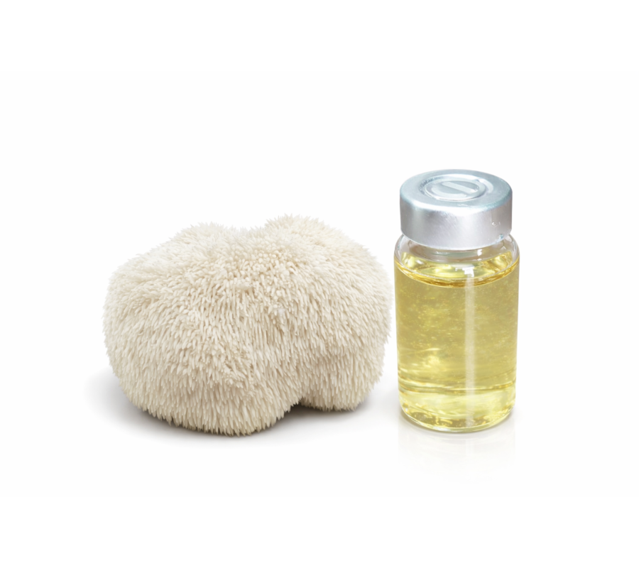 Cultura líquida de Melena de León- Vial 10mL (Hericium Erinaceus)