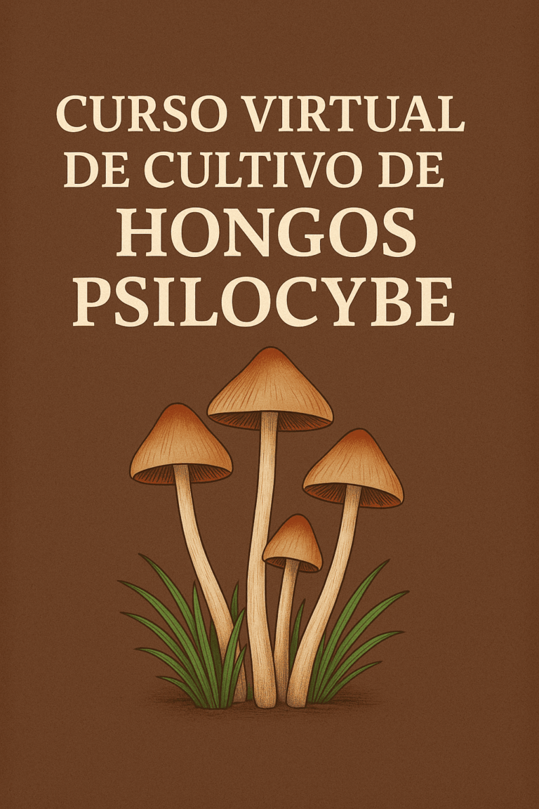 Curso virtual personalizado de cultivo de Psilocybes