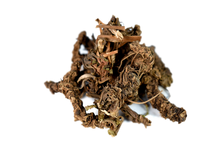 Raíz seca de Valeriana - Valeriana officinalis
