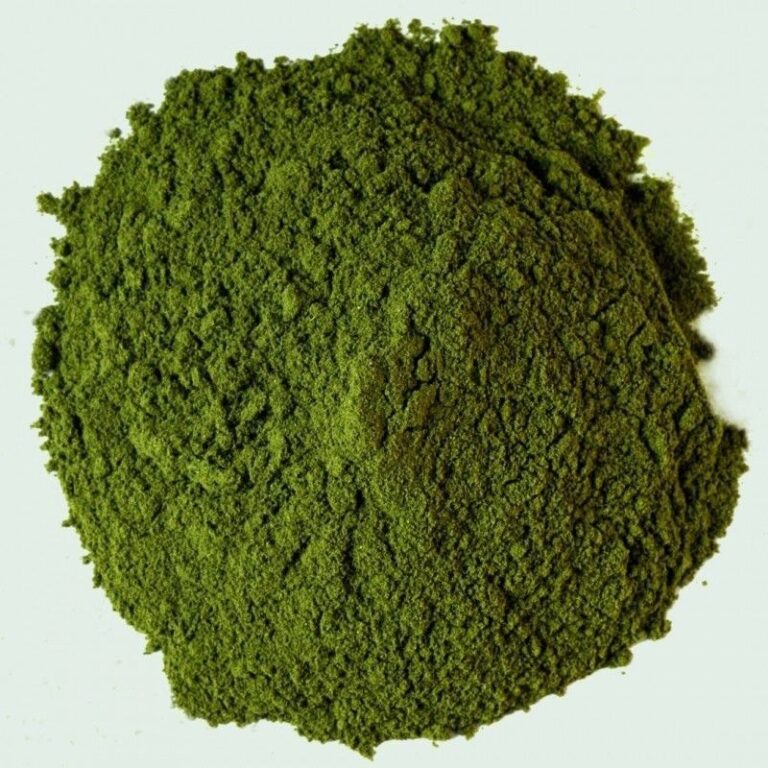 Hoja de coca pulverizada (Mambe) - Erythroxylum coca
