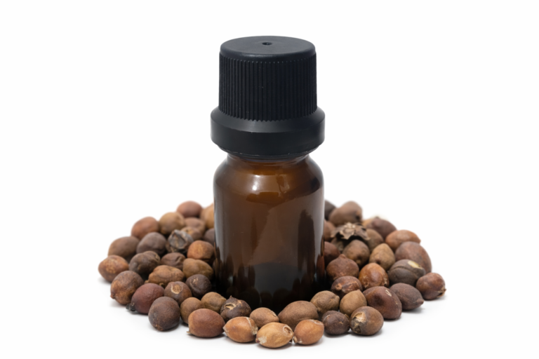 Tintura Semillas de Rivea corymbosa (Ololiuqui) - 10ml