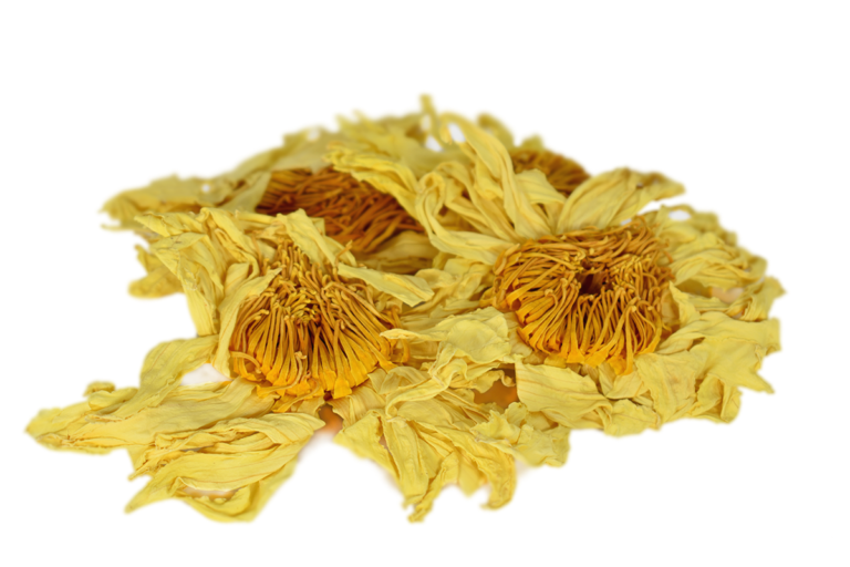 Flores de Loto amarillo - Nelumbo lutea