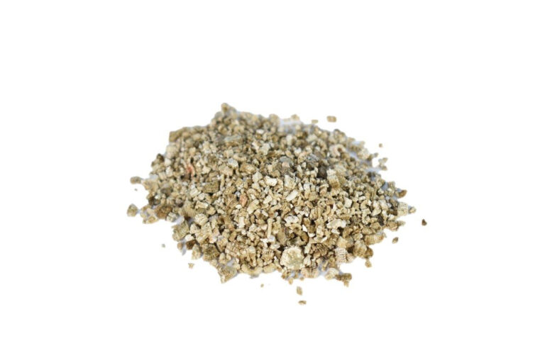 Vermiculita