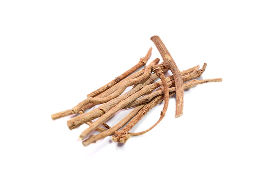 Raíz de Silene capensis (African dream root)