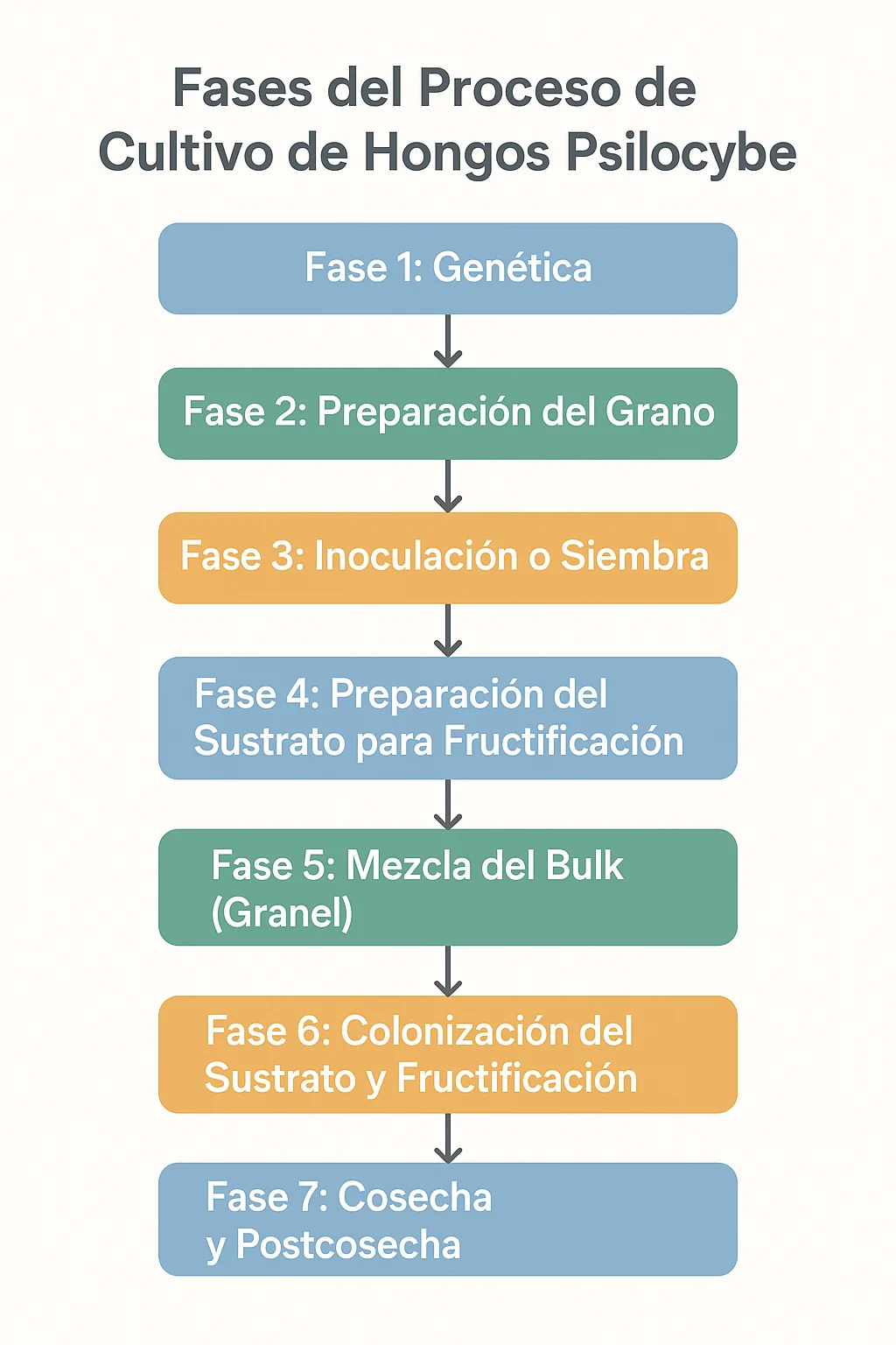 Curso virtual personalizado de cultivo de Psilocybes - Image 2