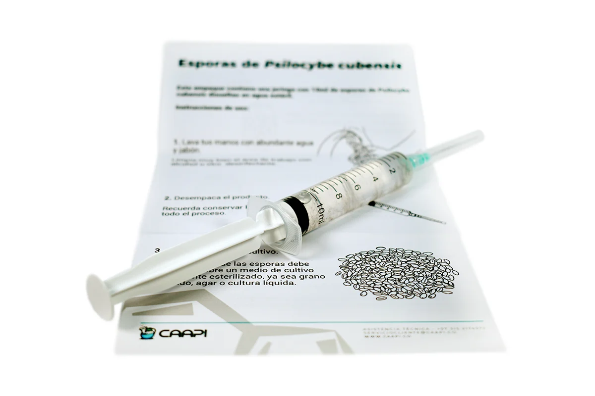 (Escondido Mex) Esporas de Psilocybe cubensis - Jeringa 10mL - Image 2