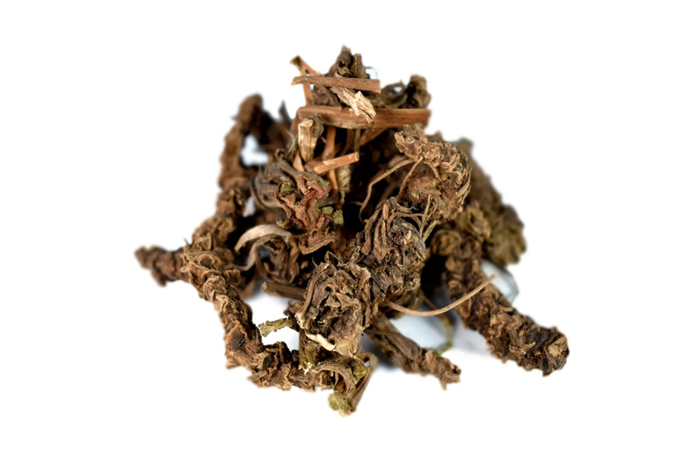 Raíz seca de Valeriana - Valeriana officinalis